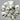 0.50ct Round Natural Diamond (Colour K, Clarity VVS2, Cut EX, IGI Certified)