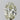 2.01ct Oval Natural Diamond (Colour K, Clarity SI1, Cut VG, IGI Certified)